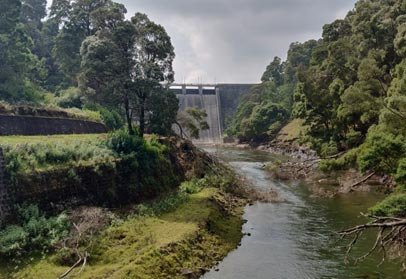 Mukurthi Dam in Ooty