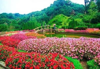 Rose Garden in Ooty