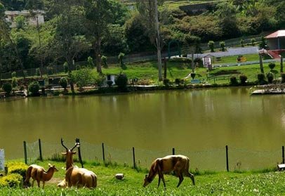 Wellington Lake in Ooty