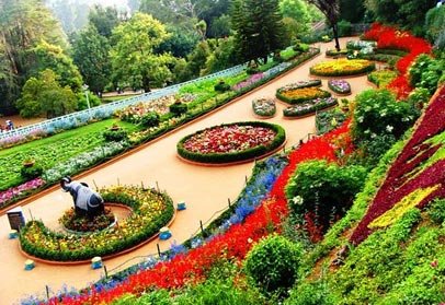 Government Botanical Garden in Ooty